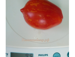 Томат Бешеная полосатая груша (Stripearanoid, США)