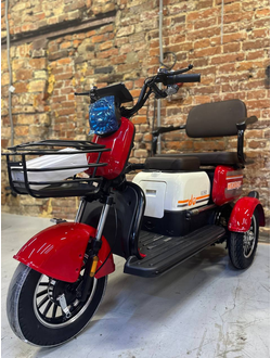 Электротрицикл Бумеранг WBX-1 Pro Plus