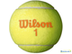 Теннисные мячи Wilson Starter Orange x3