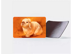 Магнит виниловый год Кролика №14