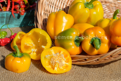 Перец сладкий Марта полка, 10 шт