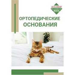 Ортопедическое основание