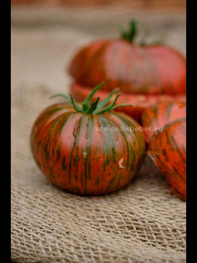 Томат Shake the Disease (Исцелись), 10 шт