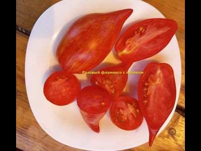 Томат Розовый фламинго полосатый