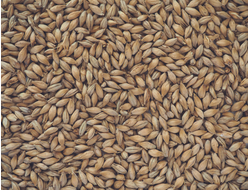 Солод German Pilsen Malt 4 EBC Crisp (Англия), 1 кг