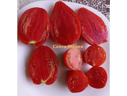 Томат Санта Мария (Santa Maria)