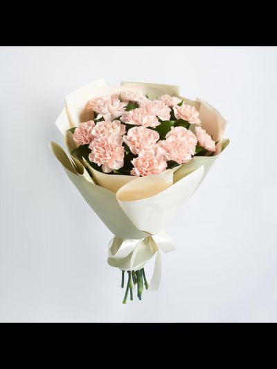 15 кремовых диантусов