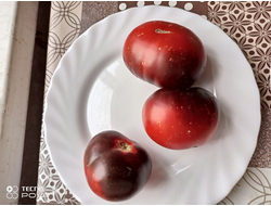 Томат Непредсказуемый блюз (Wild Card Blues) США