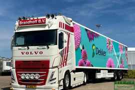 Доставка растений из Европы