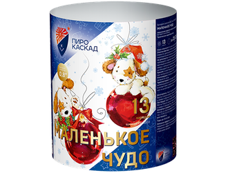 Маленькое чудо (13/0,8)