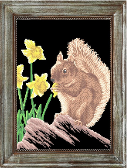 Белочка и нарциссы, К3243