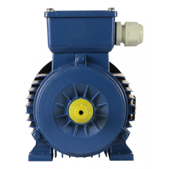 Электродвигатель 5АИ 56А2 (0,18 кВт) IM 1081