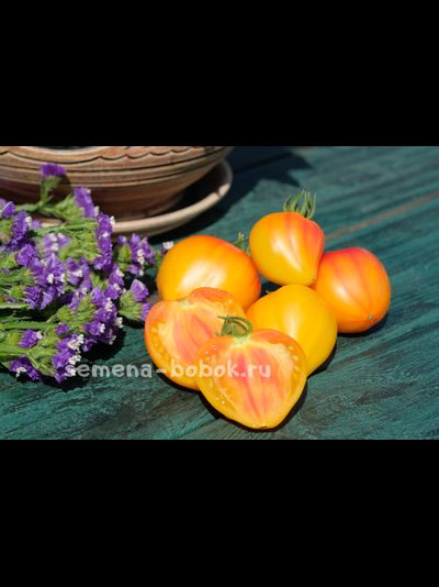 Томат Cœur de Zèbre (Heart of Zebre Apricot , Сердце абрикосовой зебры), 10 шт
