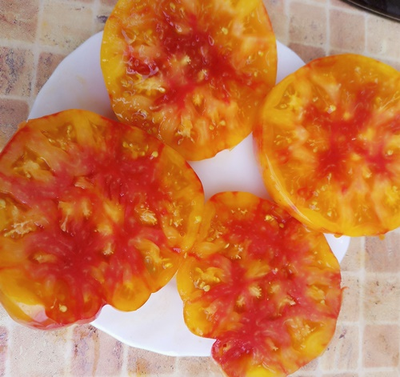 Томат Удивительная благодать (Amazing Grace)