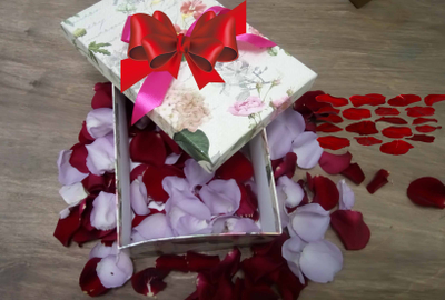 Салют из 17 тропических бабочек.