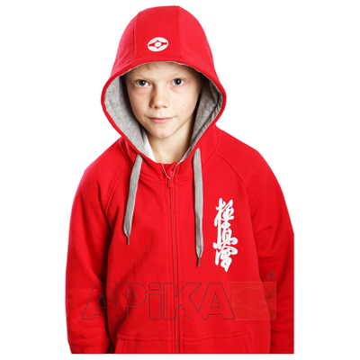 APIKA Детская ТОЛСТОВКА с вышивкой символики с капюшоном на молнии