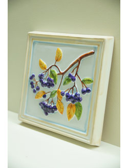 Черноплодная рябина