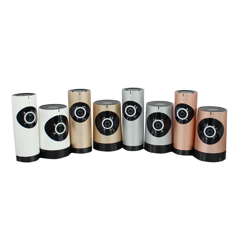 панорамная WiFI видеокамера с сервисом P2P DE-Wfish/Wfish_mini