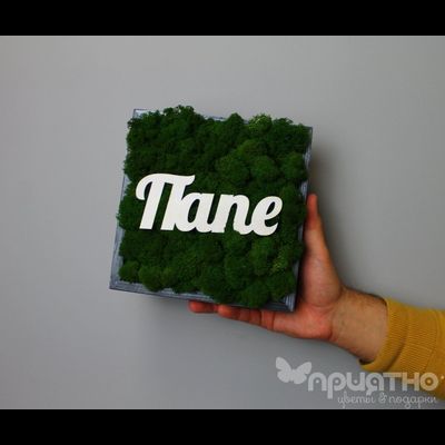 ЖИВАЯ ЭКО-КАРТИНА 1003