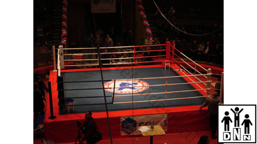 боксерский ринг цена