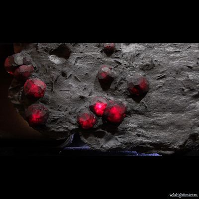 Гранат альмандин-пироповой серии с кристаллами дравита (разн. турмалина) в графитовом сланце. Red Embers mine. USA. 160*120*15мм. Редкость! (ААА)