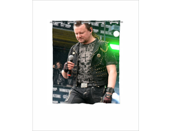 Штора в ванную Король и Шут №1