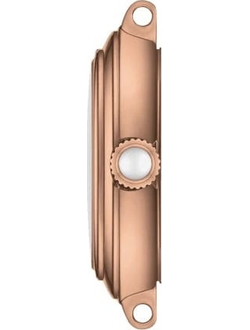 Швейцарские часы Tissot T126.010.36.013.00