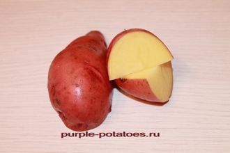 Сорт картофеля Розара