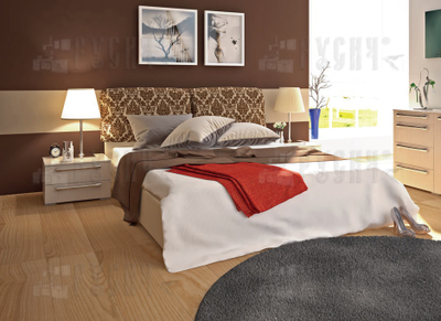 Шкаф-купе Милана 041