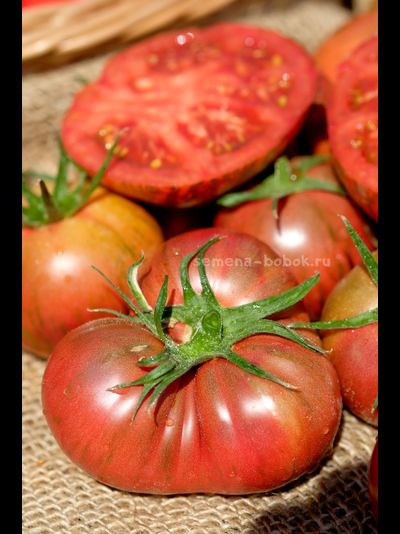 Томат Ярсон 26 (Jarson 26), 10 шт