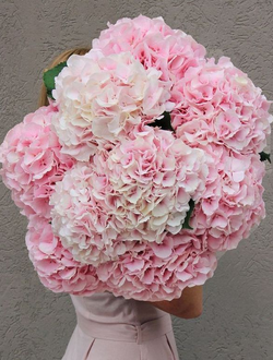 9 гортензий (цвет на выбор)