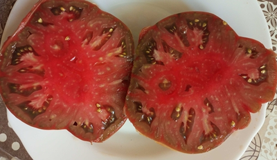 Томат Большой Бордовый (Гроссе бордо, Grosse Bordeau)