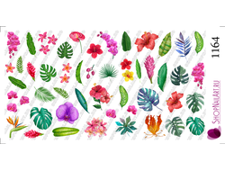 Слайдер-дизайн 1164 - Лето, тропические растения