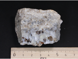 Циркон (кристаллы в породе), Россия, Южный Урал, Вишневые горы (55*42*30 мм, 103 г) №17776