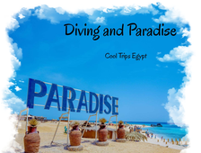 Sea trip Diving and Paradise from Hurghada
