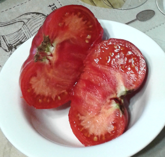 Семена томата Жар-птица сладкая Гном