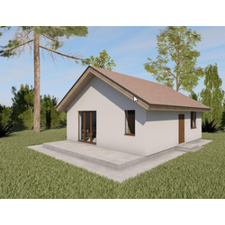 Одноэтажный дом с двумя спальнями 56м² (S56)