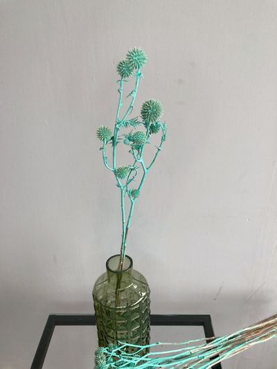 Мордовник тиффани