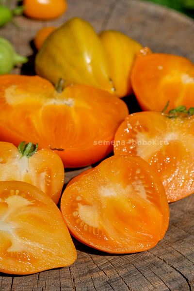 Томат Золотые Огни Алатау, 10 шт