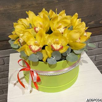 Коробка из желтой орхидеи «Бисквит»