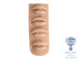 Модель силиконовая - губы 4 в 1 асимметрии Silicone Skin