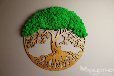 ЖИВАЯ ЭКО-КАРТИНА 1091