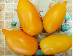 Томат Оранжевая прогулка (Orange walk)