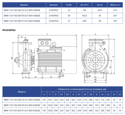 NBW 125-100-200-37.0/2-G