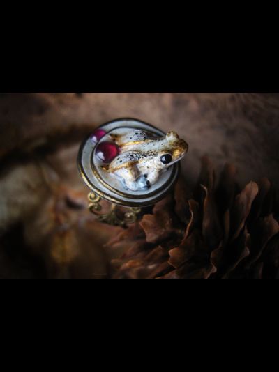 "Дневной светлячок Квакази", волшебное кольцо с лягушкой и натуральными родолитами