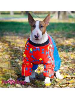 Комбинезон красно-синий