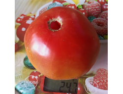 Томат Фиолетовый Оуэна (Owen's Purple), США