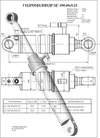 Гидроцилиндр подъема стрелы, опоры ЦГ-100.60х800.22 (ПЭК-34.000)