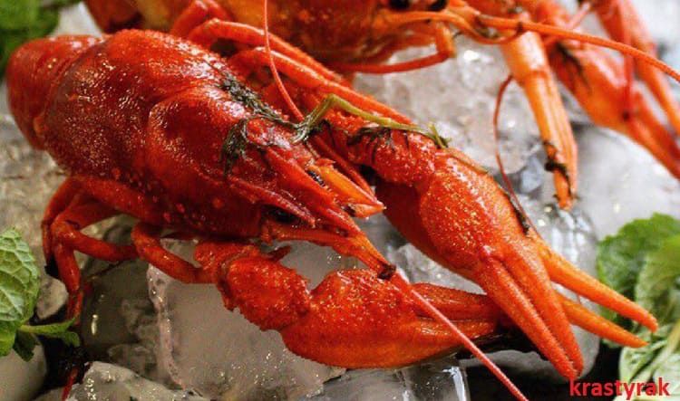 Красивые вареные раки