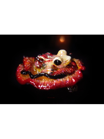 &quot;Пламенная феюшка-лягушка&quot;, коллекционная мини-брошь (4 см)